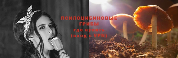 стафф Аркадак