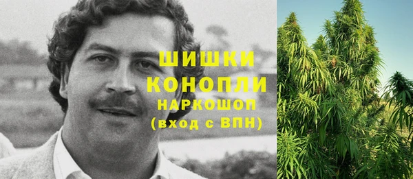 стафф Аркадак