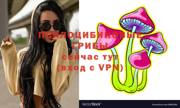 стафф Аркадак