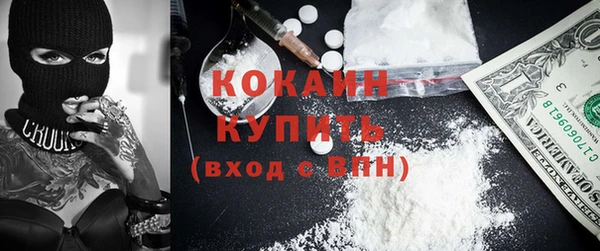 прущие грибы Арсеньев