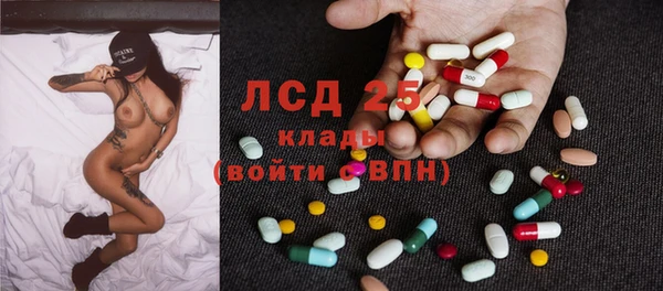 прущие грибы Арсеньев