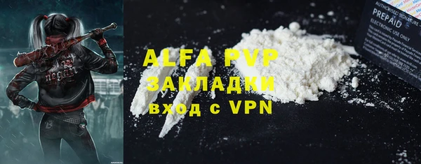 стафф Аркадак
