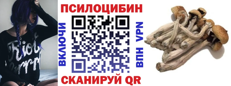 Псилоцибиновые грибы Psilocybine cubensis  Берёзовский 
