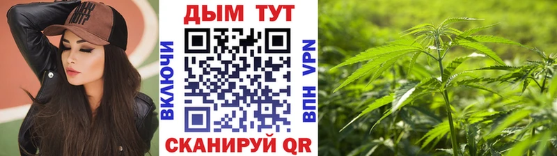 где можно купить наркотик  blacksprut   Бошки Шишки OG Kush  Берёзовский 
